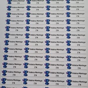 Stickers para Libros y Cuadernos